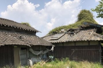沖縄で不動産査定☆築年数の古い家は更地にするべき？