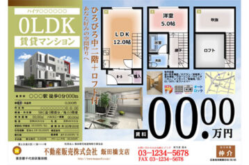 【沖縄の家を購入】大判カラー不動産広告のチェック項目